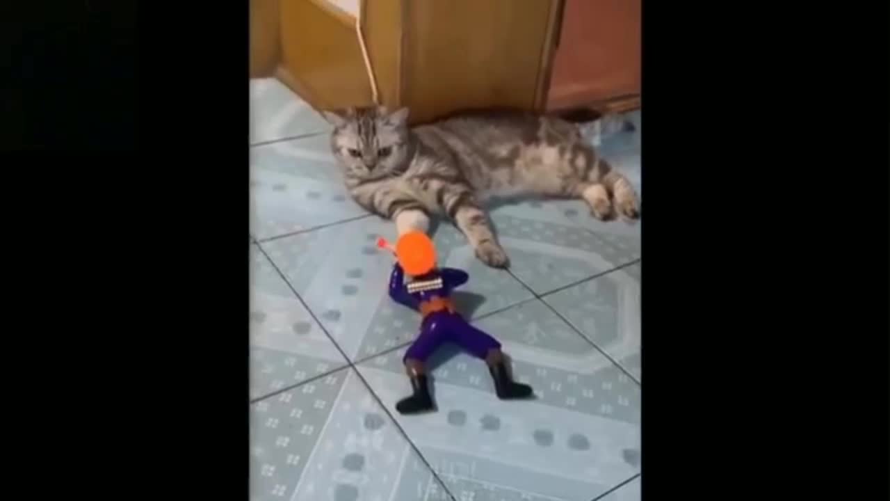 Cute catš„°