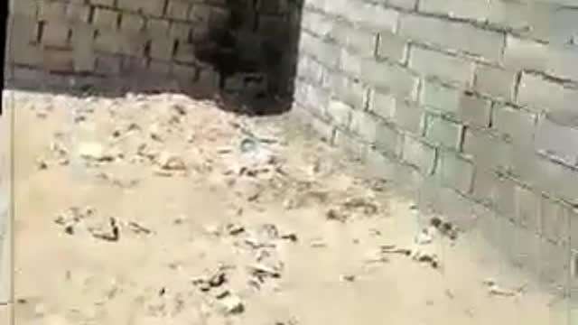 Iran: Authorities destroy make-shift homes of the poor