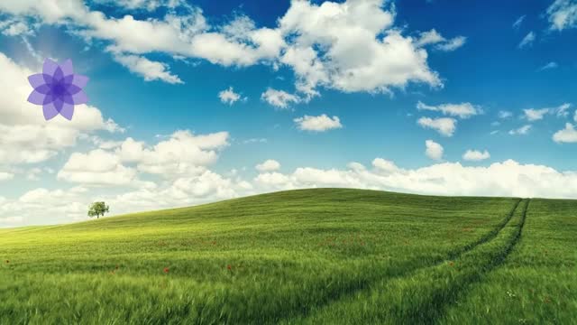 15 Minute Super Deep Meditation Music Relax Mind Body, Inner Peace, Relaxing Music