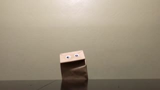 Paper bag sings Bohemian Rhapsody by Queen