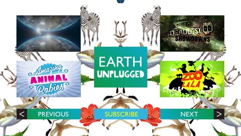 The Dinosaur Expert | Steve Brusatte | Meet My Planet | Earth Unplugged