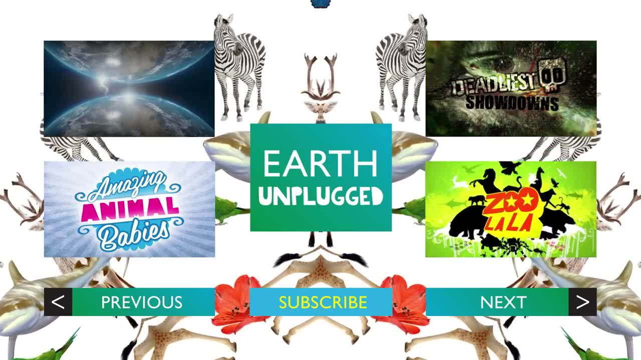 The Dinosaur Expert | Steve Brusatte | Meet My Planet | Earth Unplugged