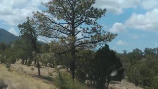 Faux GoPro in Coconino Natl Forest