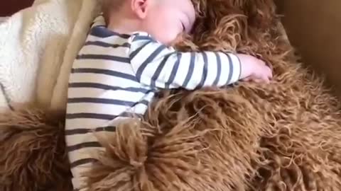 Baby cuddles his dog