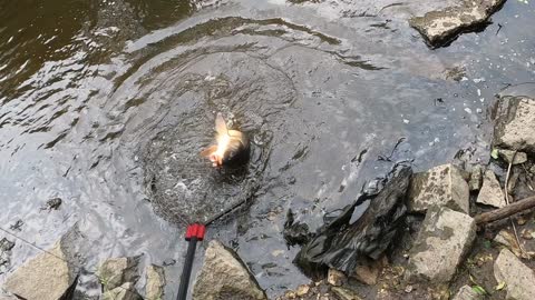 Big Carp Broke my Rod