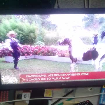 o cavalo branco sendo domado pt3