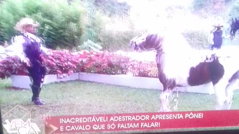 o cavalo branco sendo domado pt3