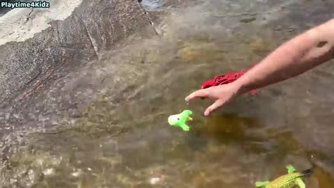 Sea Animal Toys at the Shore