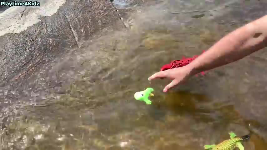 Sea Animal Toys at the Shore