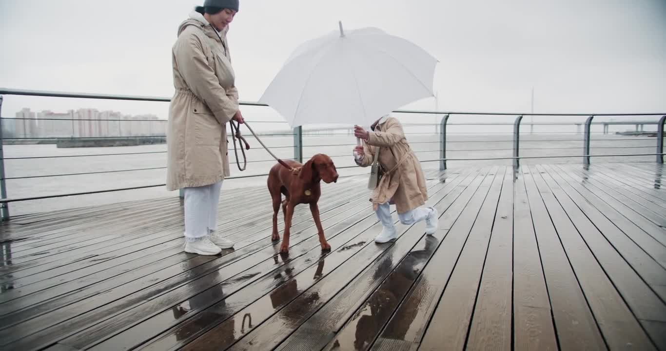 Mother and Child Walking with their Dog Seaside