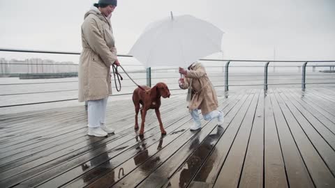 Mother and Child Walking with their Dog Seaside