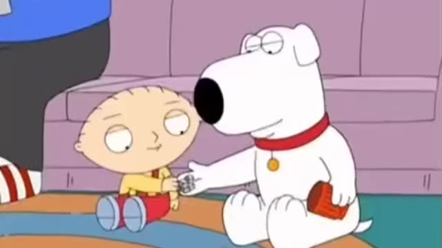 😄 funny dog