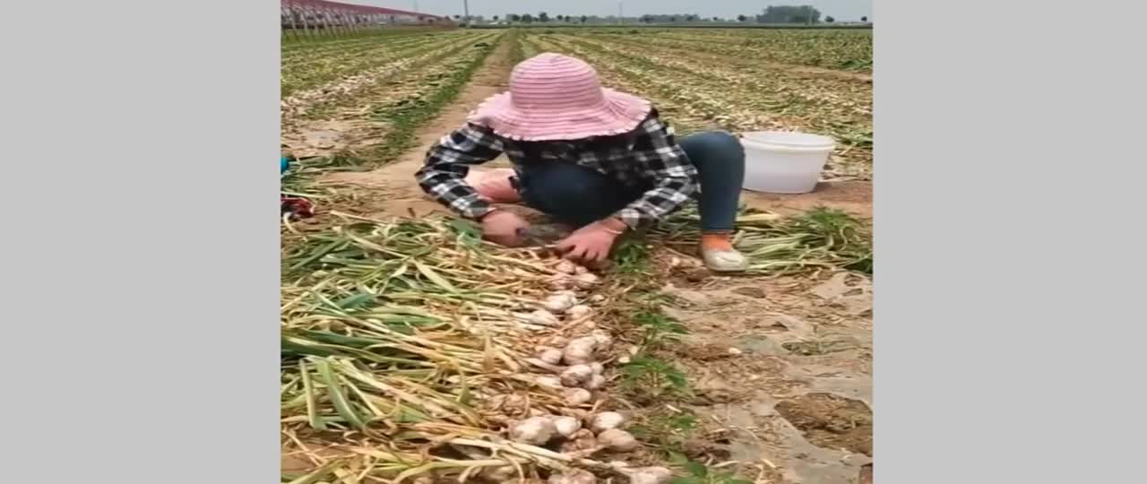 Fastest worker in the world compilation Amazing Skill