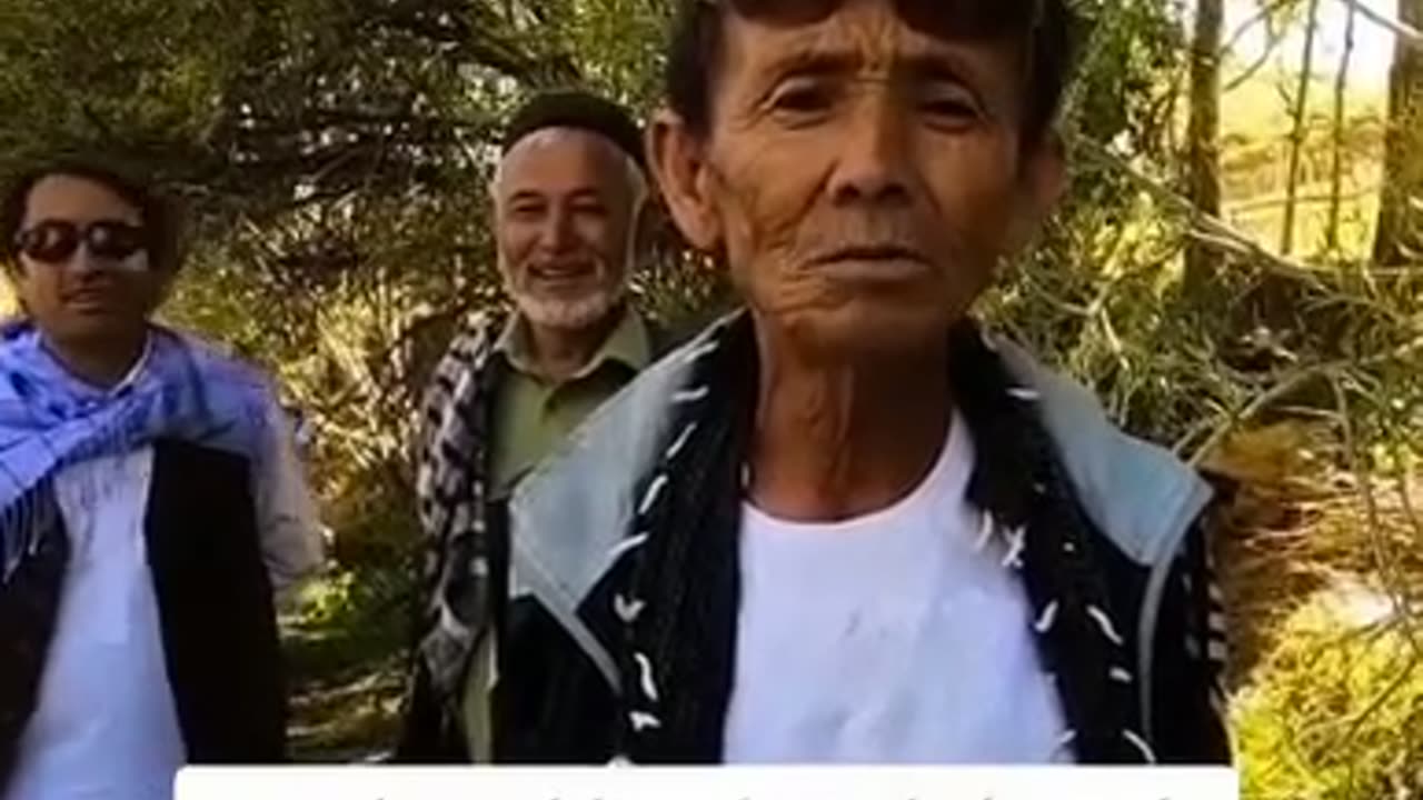 بیبینید ولذت ببرید