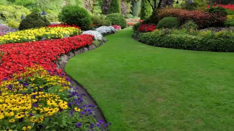 Carlos & Seilin Landscaping - (240) 301-2685