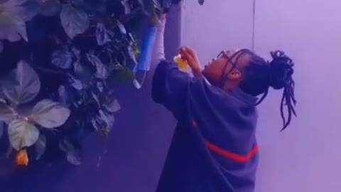 How to steal flowers without getting caught