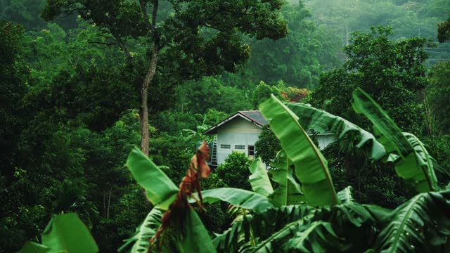 A very beautiful natural scene how the market is raining here