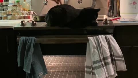 Poke the Cat to Turn on Oven Light