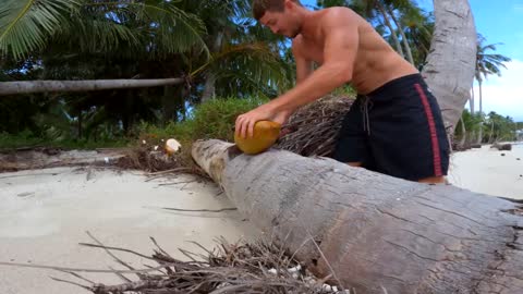 Solo Survival SPINED LOBSTER Catch n Cook On A Tropical Island-4