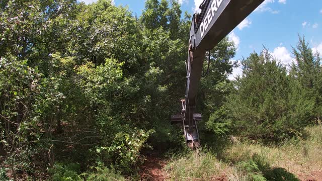 Clearing Cedar Trees