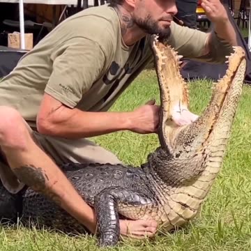 Florida man shows off his insane reflexes