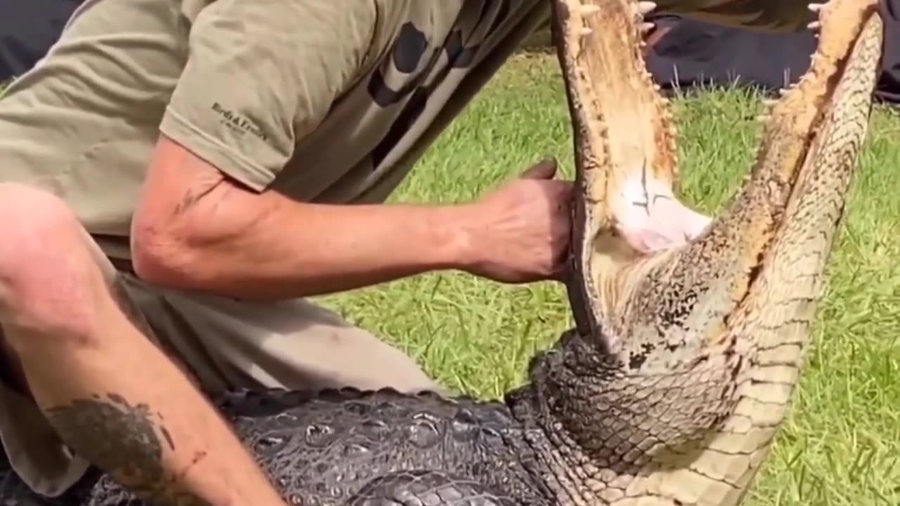 Florida man shows off his insane reflexes
