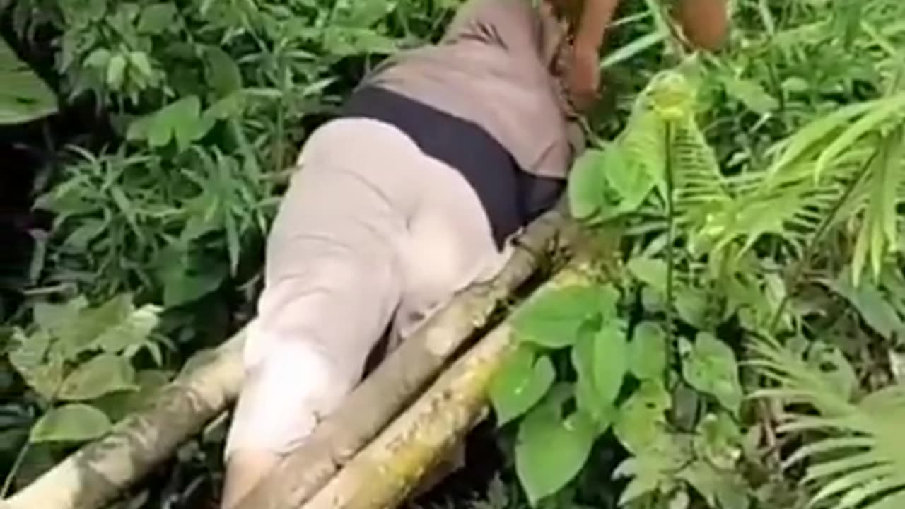 The end 😂😂#funny #short