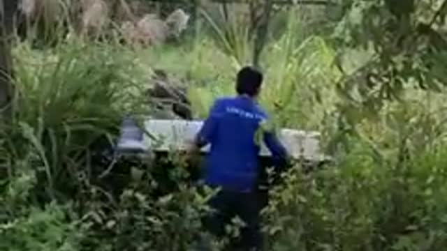 Amezing funny 🤣😂 video