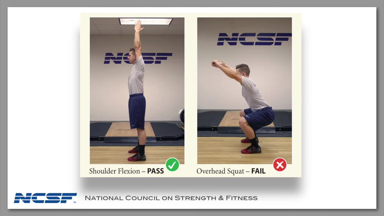 US Sports Partner Spotlight: The National Council on Strength and Fitness