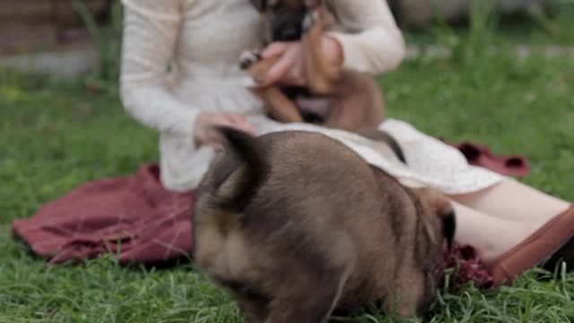 Woman holding Dogs