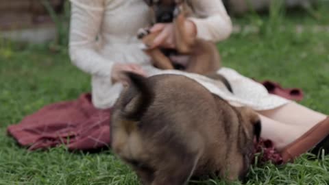 Woman holding Dogs