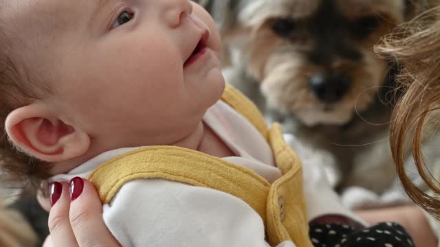 Adorable Babies Playing With Dogs - Funny Babies Compilation