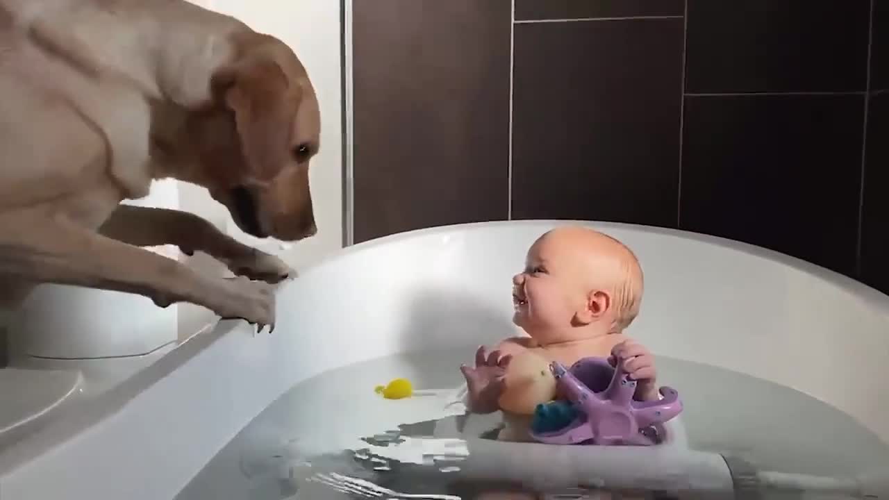 Children and dogs are friends forever