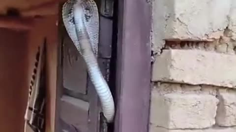 It Took The House Away From The Owners.