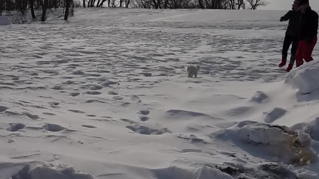 The appearance of snow mountain in Korea