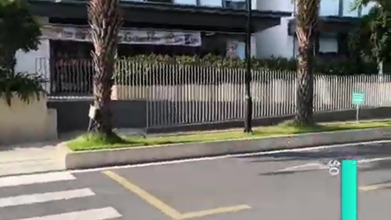 fatty demon pig - 2024 - November 18th part 002