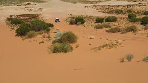 Big Red Birdsville