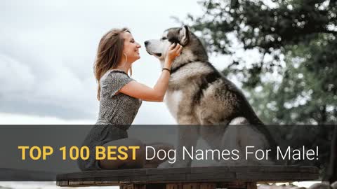 🐕 TOP 100 BEST Dog Names For Male Dog