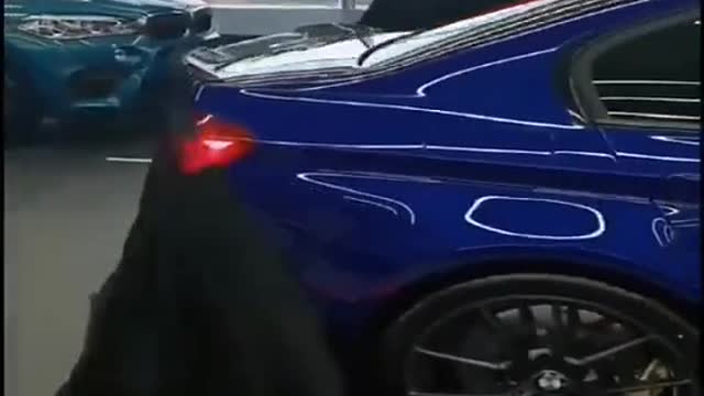 beautiful car cover