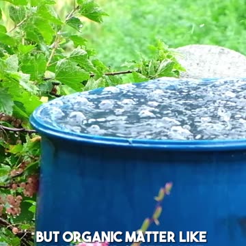 🌧️💧 Keeping Your Rainwater Clean with an Amazing Tip💧