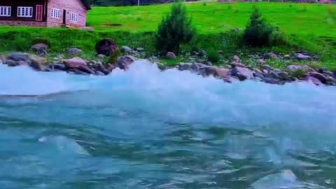 My love nature