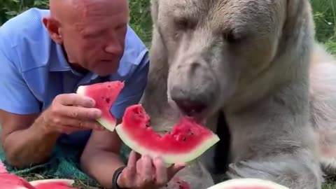 Eating a watermelon together.. 😊