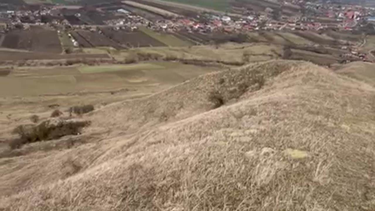 A look in the field
