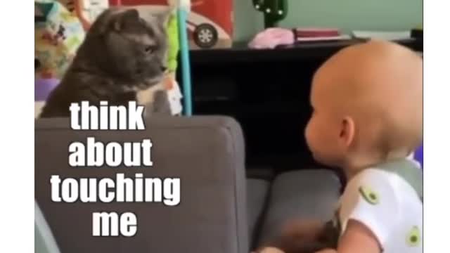 Funny & Cute Cat & Toddler talking