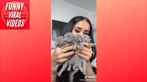 Cute TikTok pets that will cure your sadness