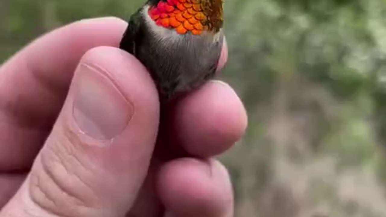 Birds Of A Feather! Absolutely🤩 Beautiful