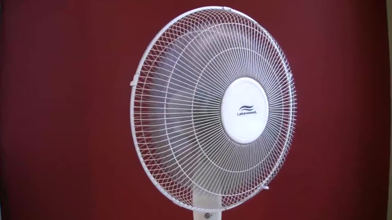 White Noise Oscillating Fan