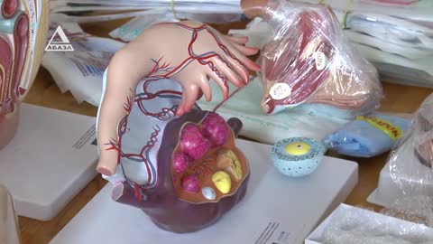 Юнисеф передал Минздраву Абхазии