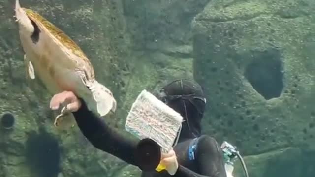 Funny video! Under water