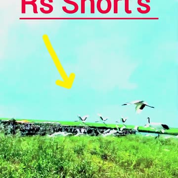 funny new fun funny jokes funny videos funny animal funny name